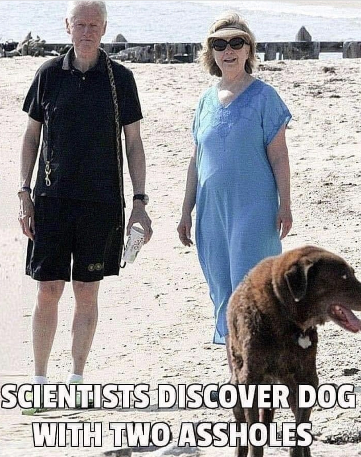 1631386873658.png