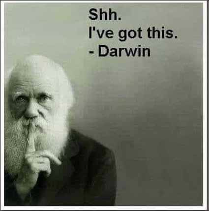 1631402937862.png
