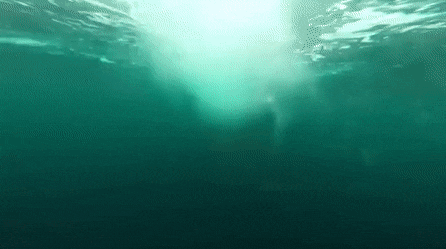 1631449962_fm1gqhhmns.gif