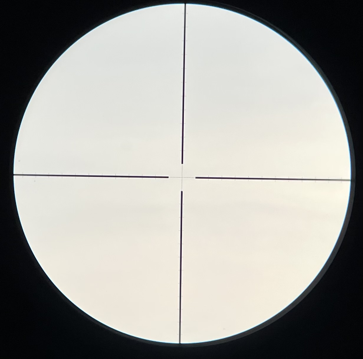 1631491383542.jpeg
