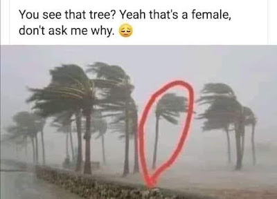 1631546371686.png