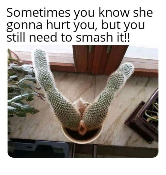 1631568961914.png
