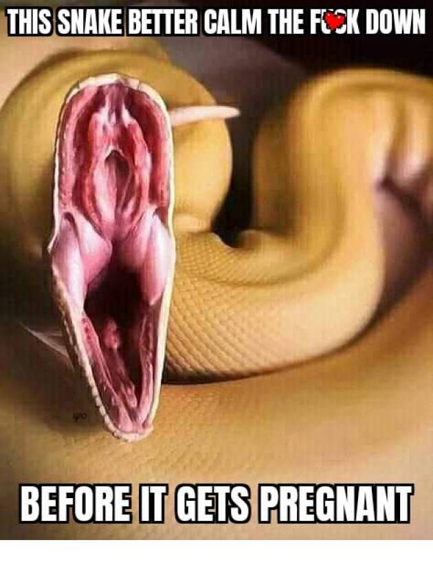 1631569141735.png