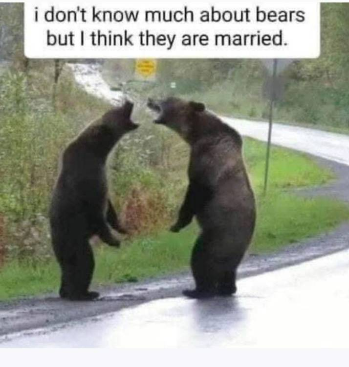 1631619004912.png
