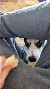 1631642461_992x2aqhaj.gif