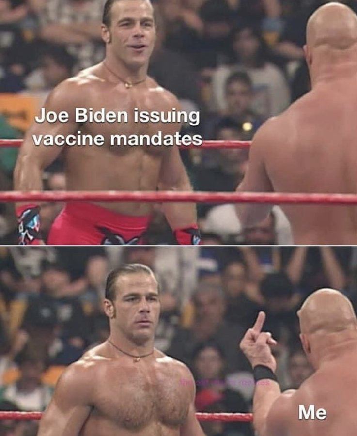1631665263739.png