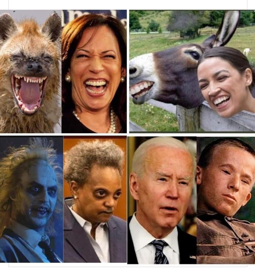1631681596403.png