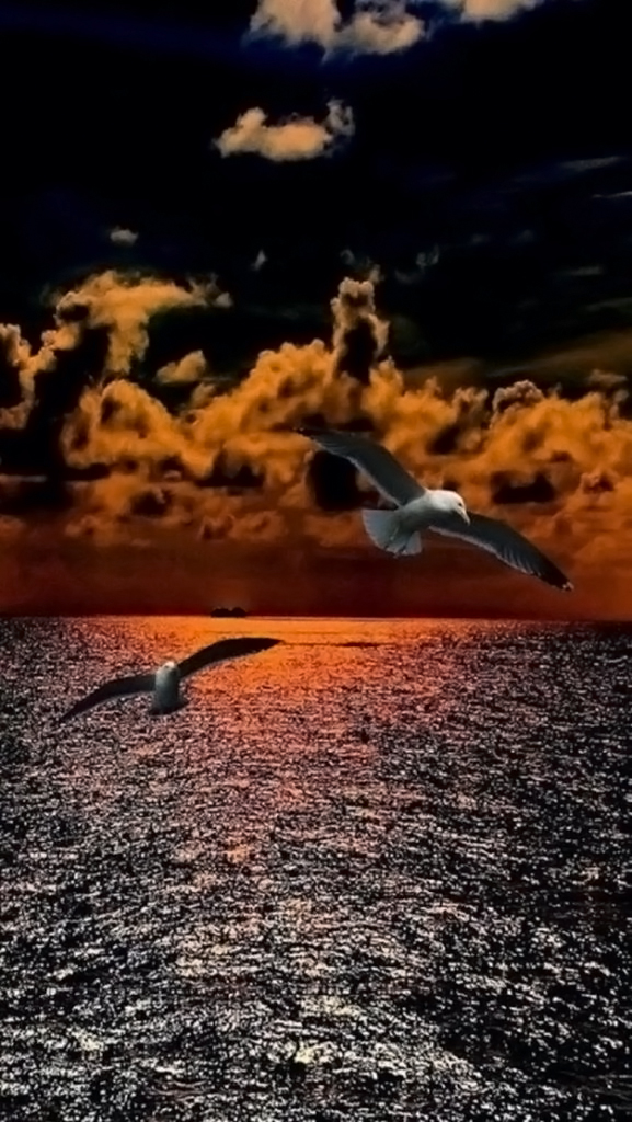1631794312682.png