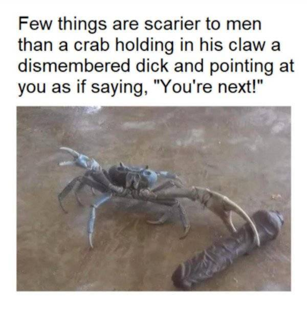 1631796699347.png