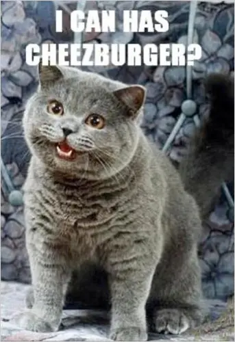 1631820583385.png
