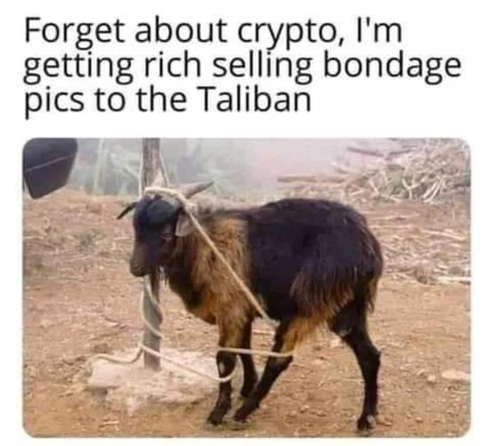 1632068753990.png