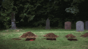 1632153831940.gif