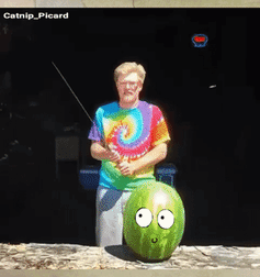 1632157315502.gif
