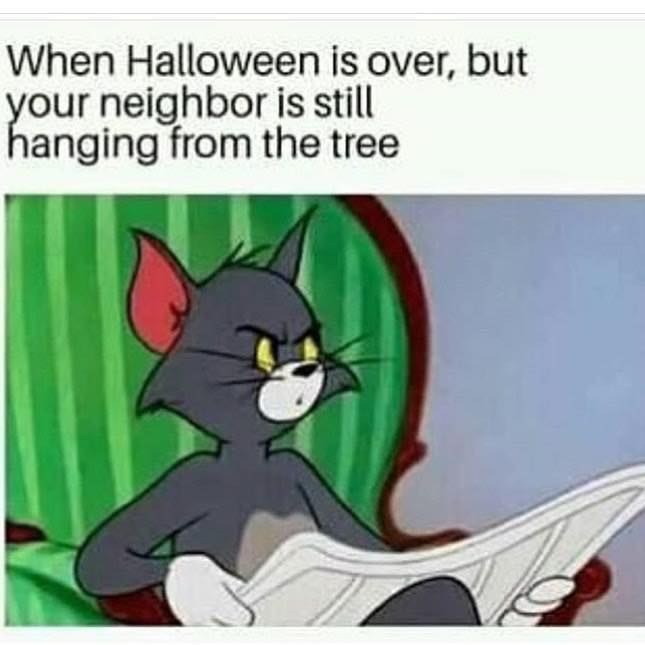 1632174013497.png