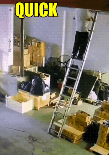 1632337291_b1bqt3mch3.gif
