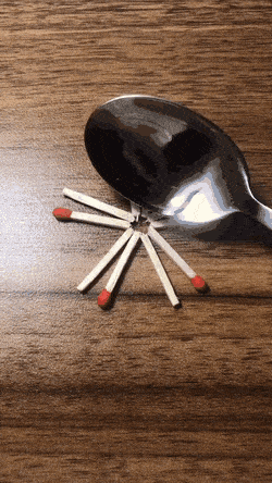 1632591109_enanynozls.gif
