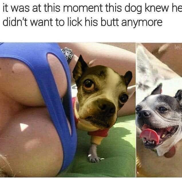 1632678199081.png
