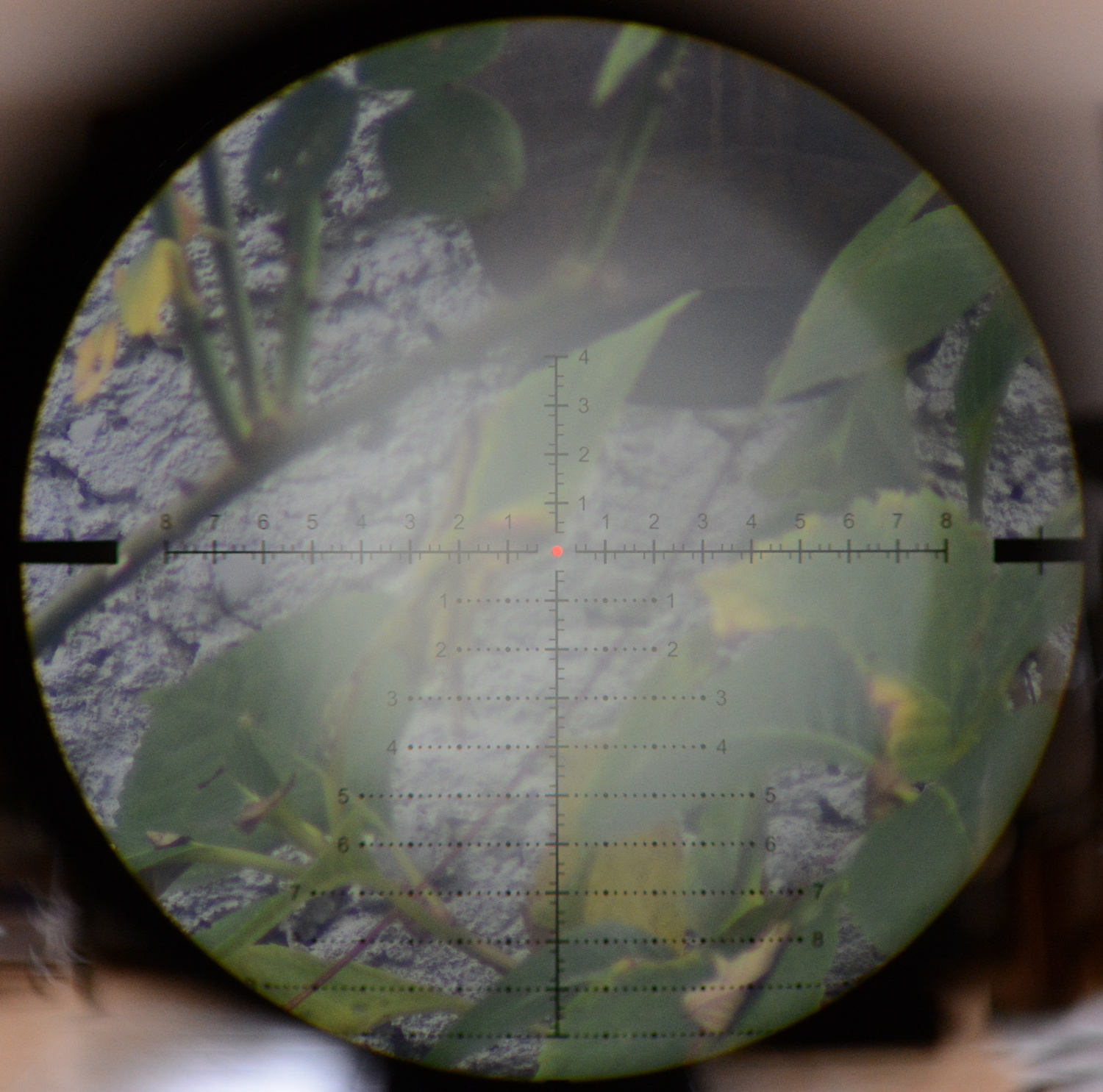1632694174294.png