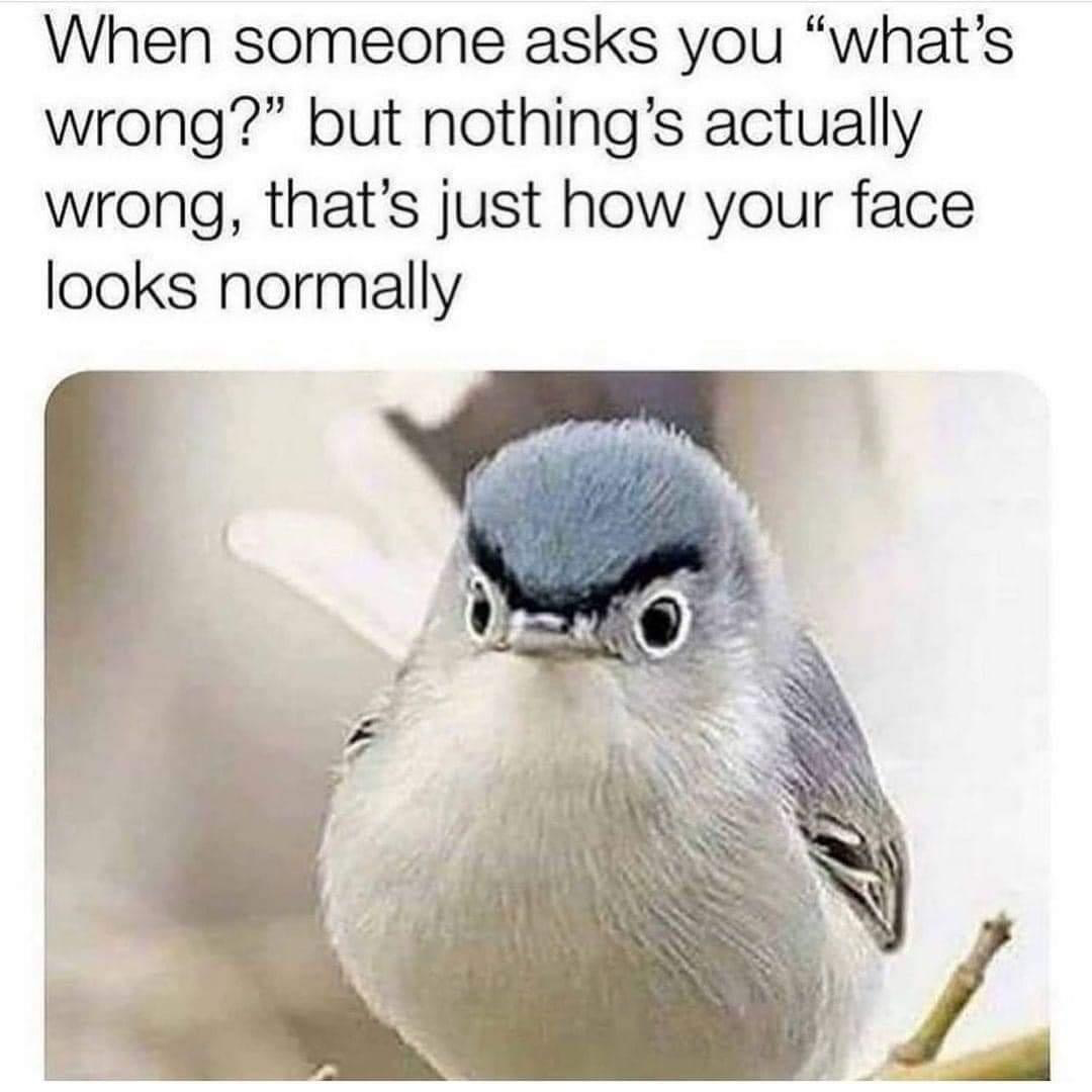 1632852579015.png