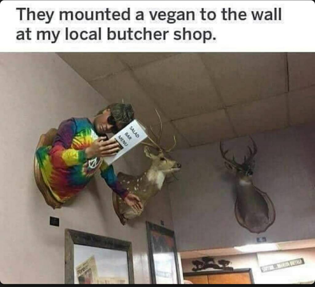 1633098040788.png