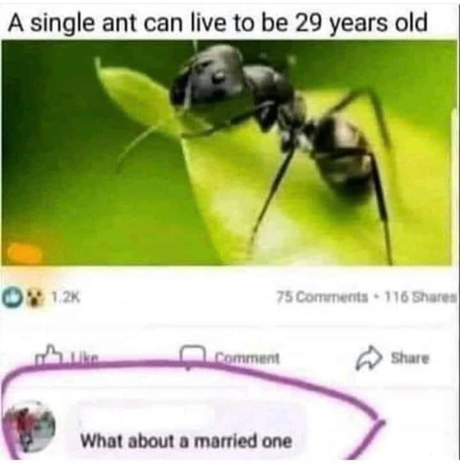1633098063229.png
