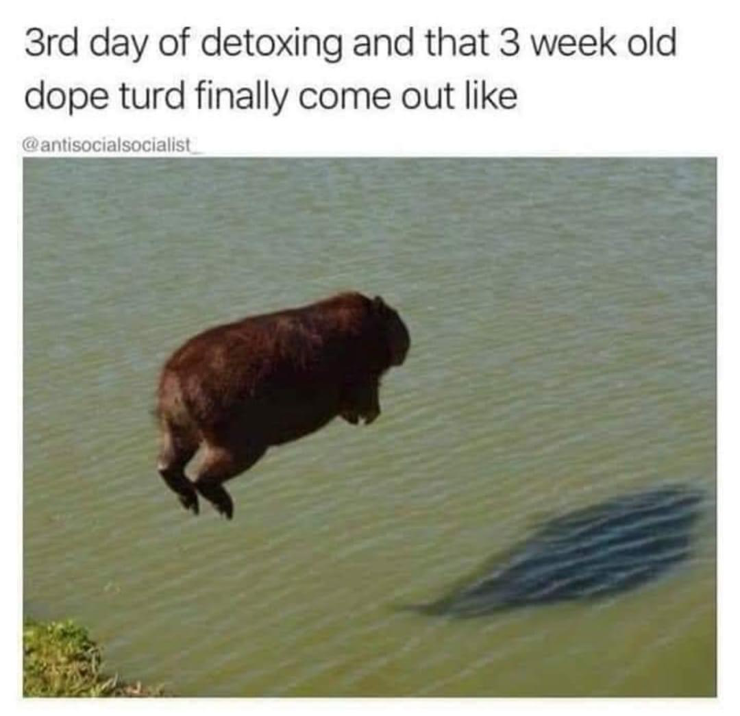 1633129928694.png