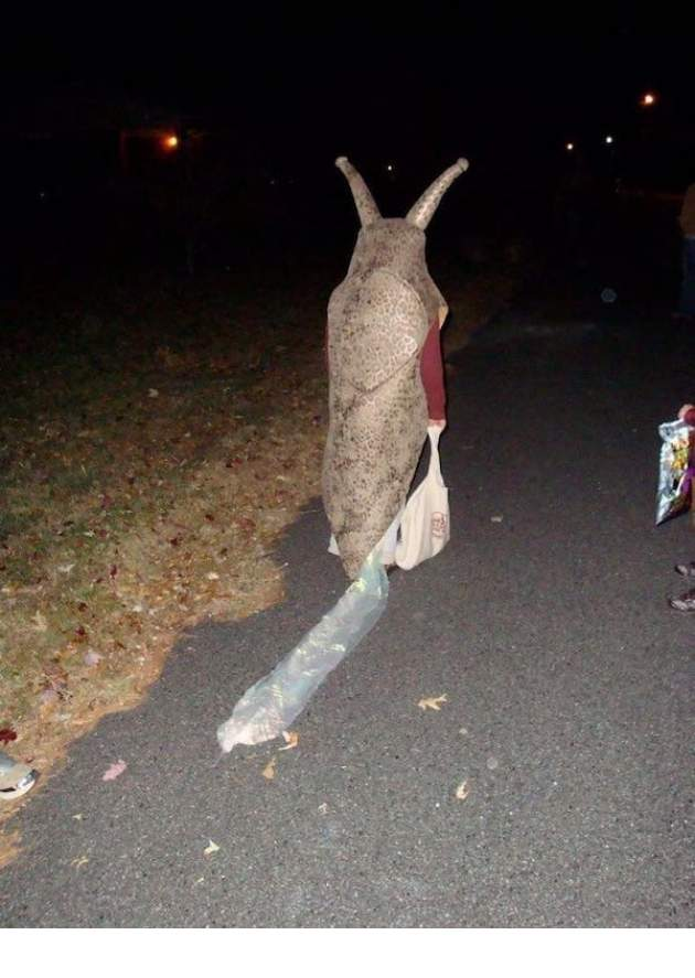 1633517003443.png