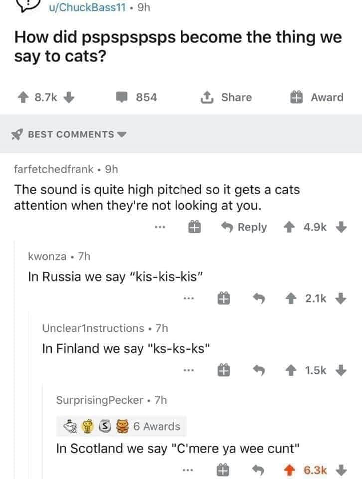 1633530554817.png