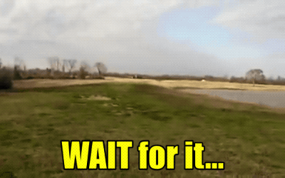 1633545956_5ta4m85z7p.gif