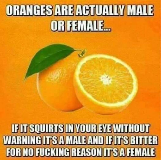 1633648703162.png