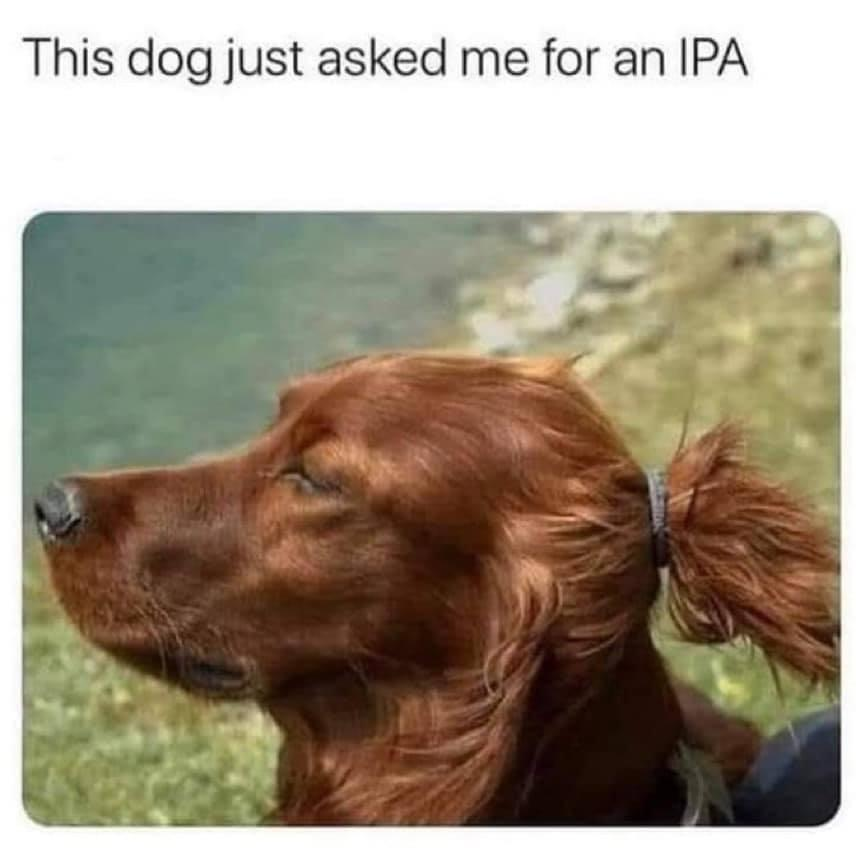 1633737139971.png