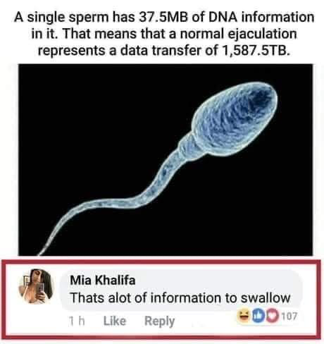 1633752397642.png
