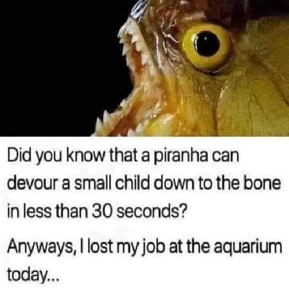 1634072351499.png