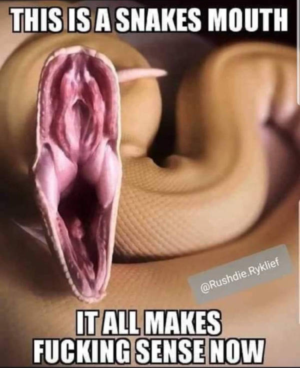 1634341491575.png