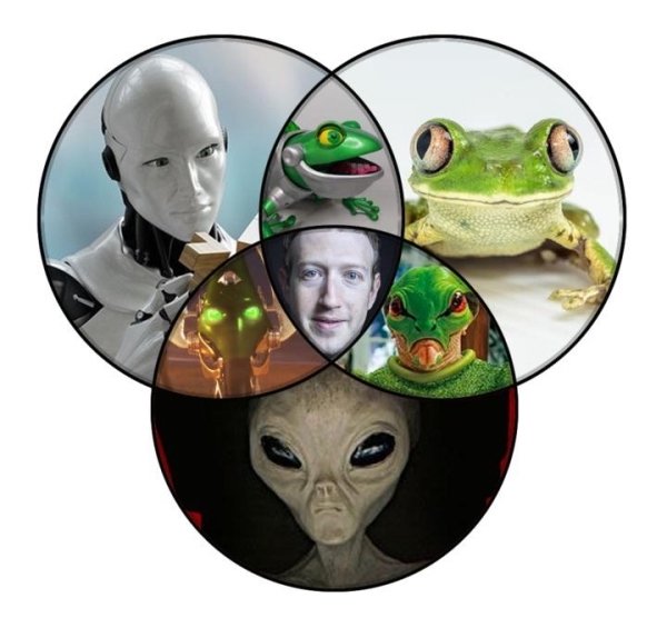 1634567075_hjxad78r6p.jpeg