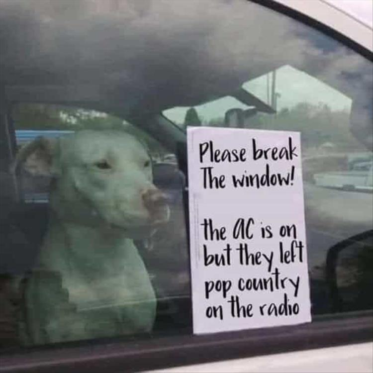 1635072678095.png