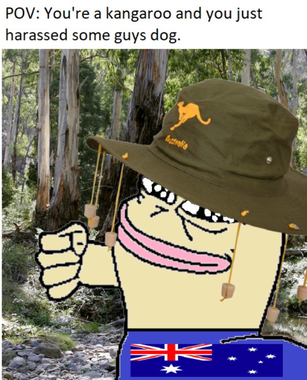 1635168633_y5kmrnssik.jpg