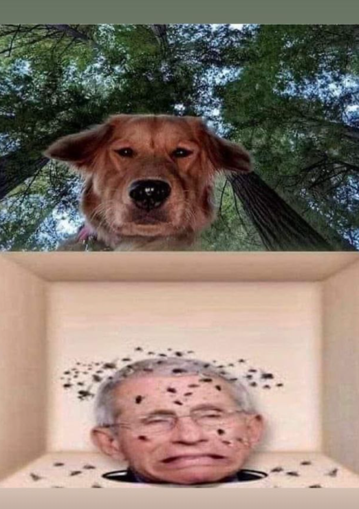 1635292942509.png