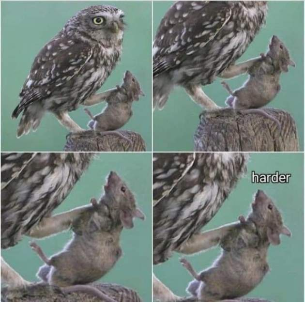 1635297428850.png