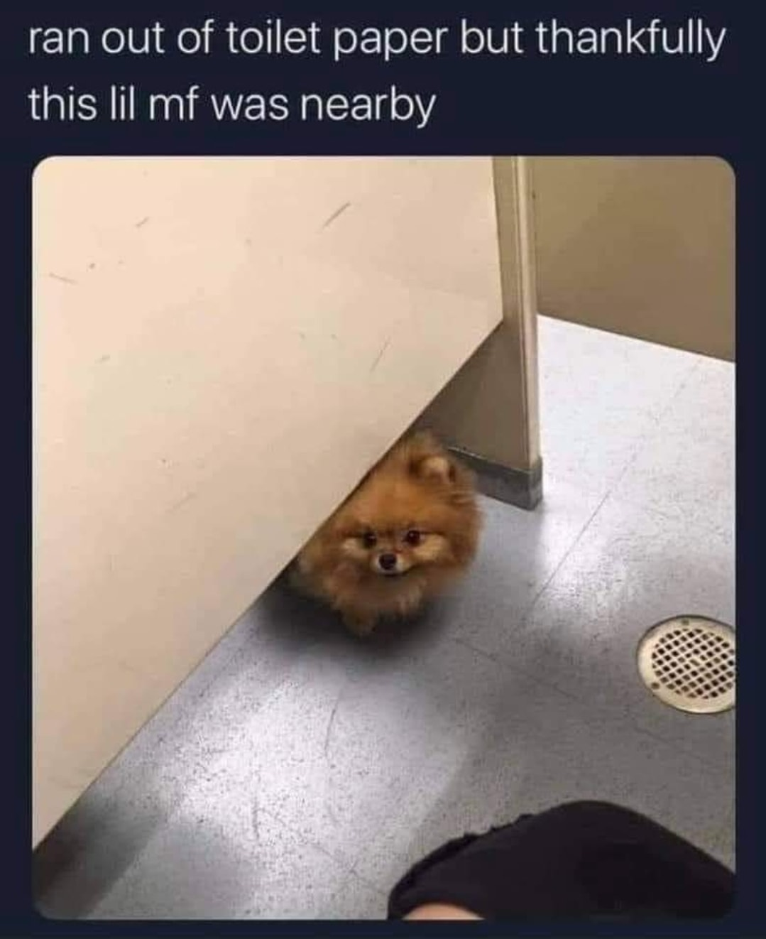 1635308666198.png