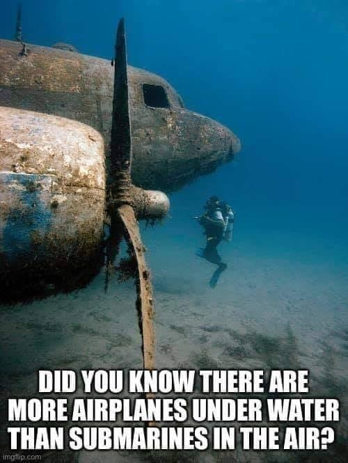 1635456363518.png