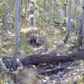 1635603846_l1p3c0wmnh.gif