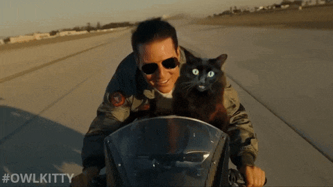 16371.gif