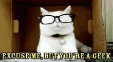 1637352678332.gif