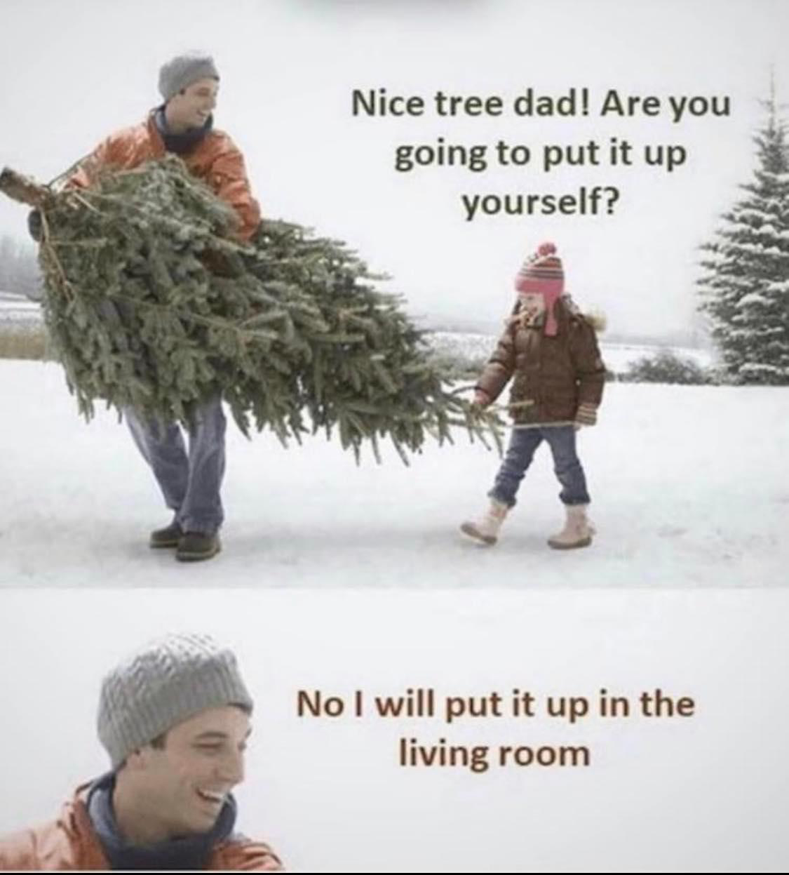 1637666630837.png
