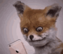 1637731316831.gif