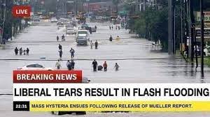 1637774355970.jpeg