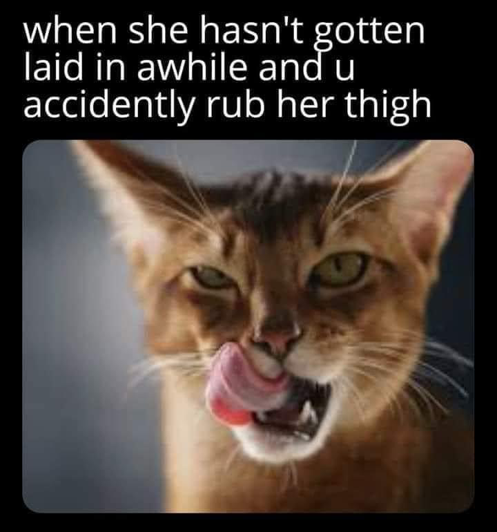 1638048667885.png