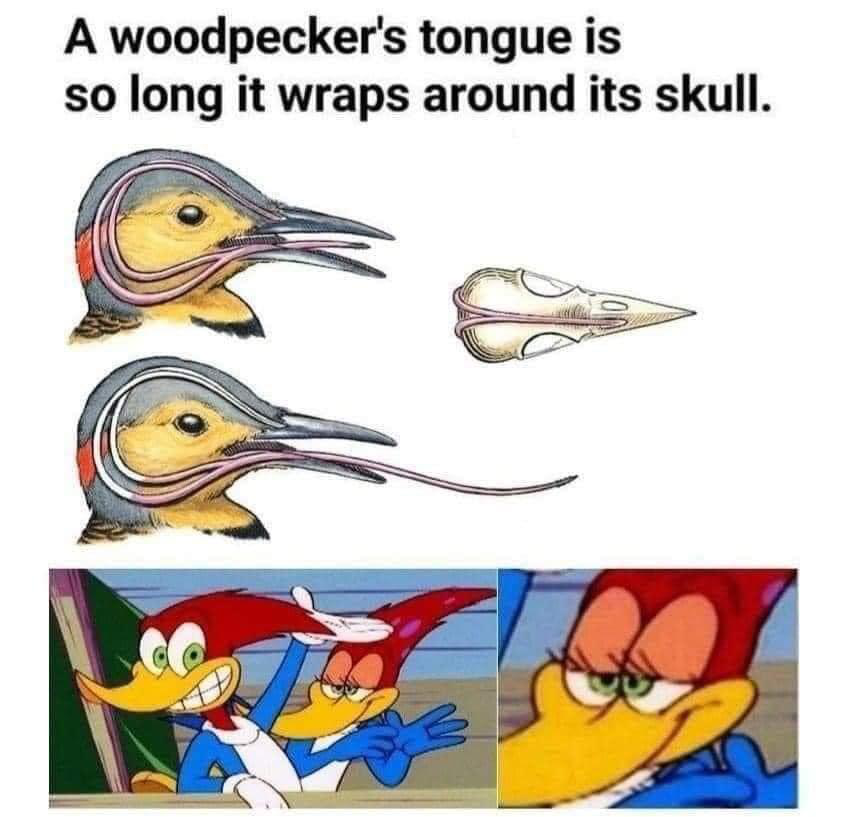 1638137967726.png