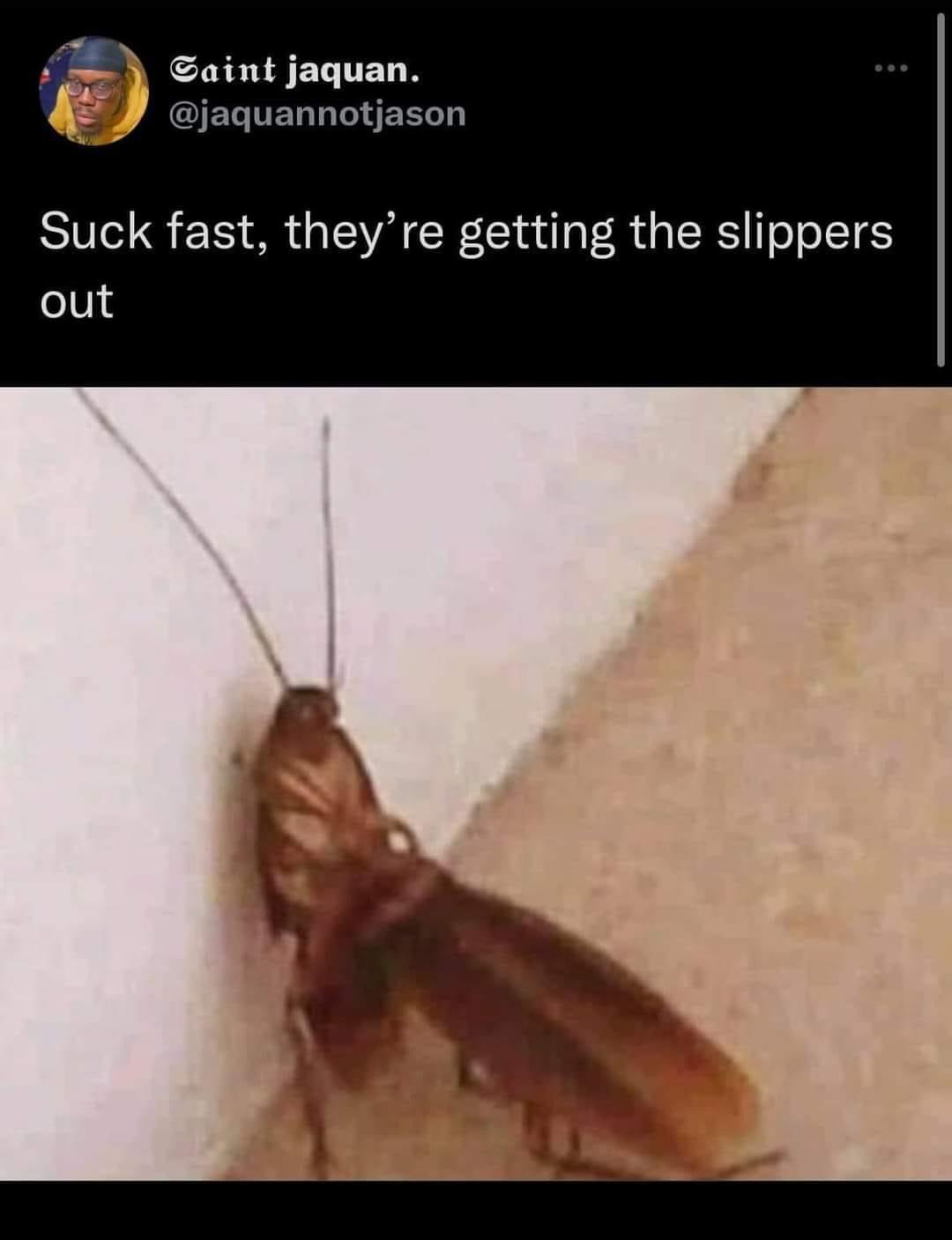 1638184788763.png